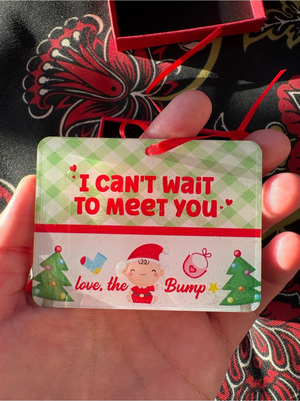 Holiday 'I Can't Wait To Meet You' Hanging Ornament - Red and Green